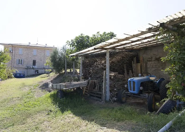 Da Zarè
